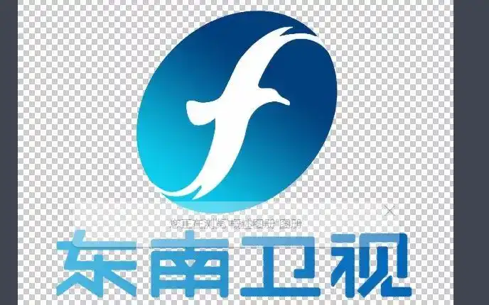 20秒带你欣赏东南卫视使用过的台标