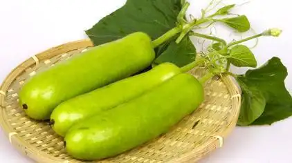 芦子瓜怎样做好吃 - 西瓜视频