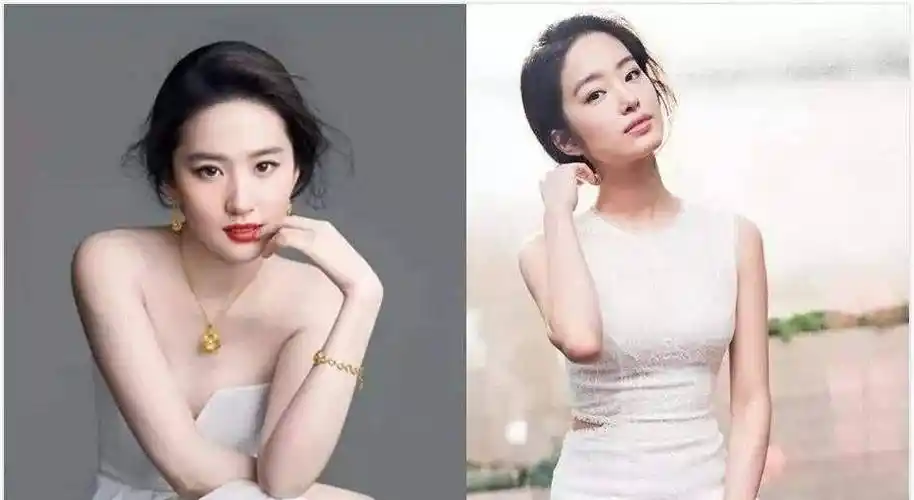 杨采钰_刘亦菲_陈金飞