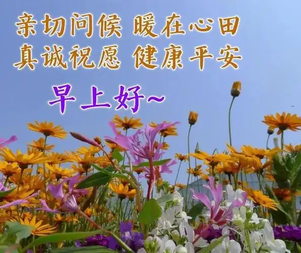 暖心的早上祝福语最美早安问候语动态图片