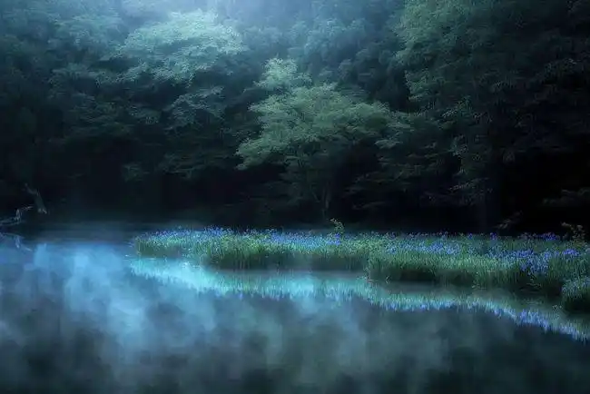 幽深之地幽静之美