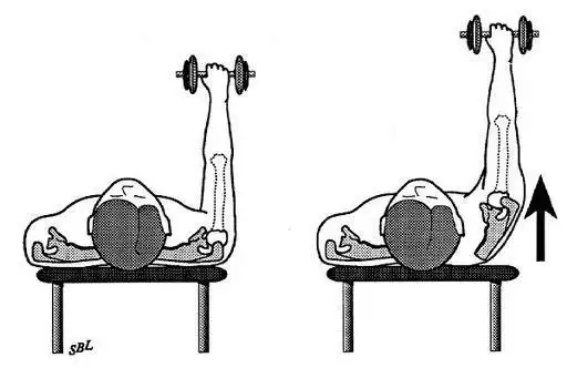 健身训练中,前锯肌的重要性,你有所不知!