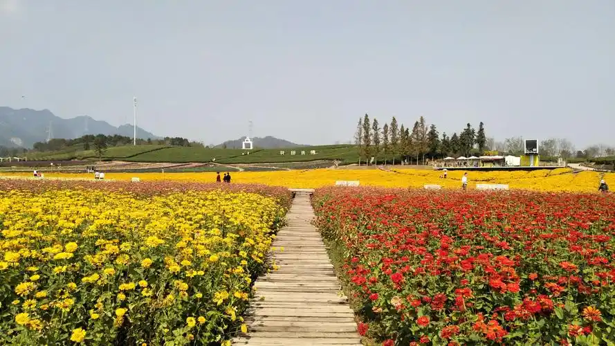 骑游武义花田小镇