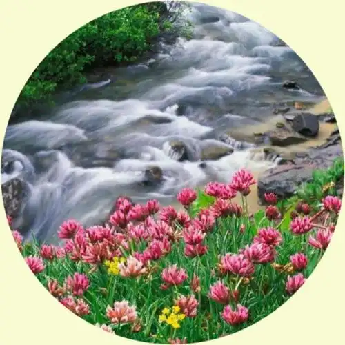 微信头像:山青水秀,碧海蓝天,如诗如画,美丽的大自然_网易订阅