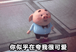 猪小屁表情包撩小姐姐表情包抖音跑步猪第二弹抖音跑步猪第一弹最全面