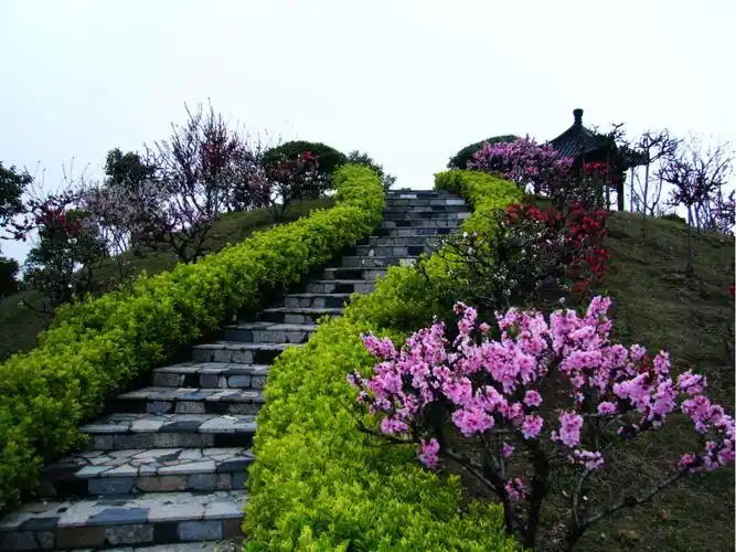 桃花源记——南汇桃花村(2009.3.18)