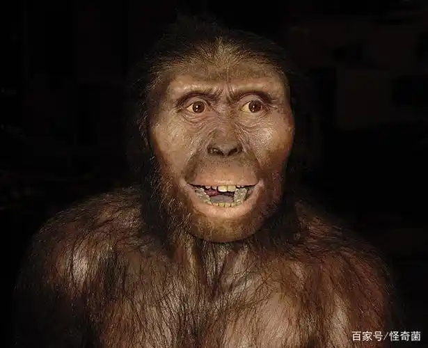 猿进化到人的过程中,为什么有13万年空白期?这期间发生了什么?