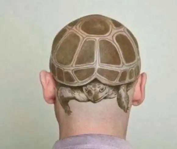 这些奇特的发型,是艺术还是搞笑呢