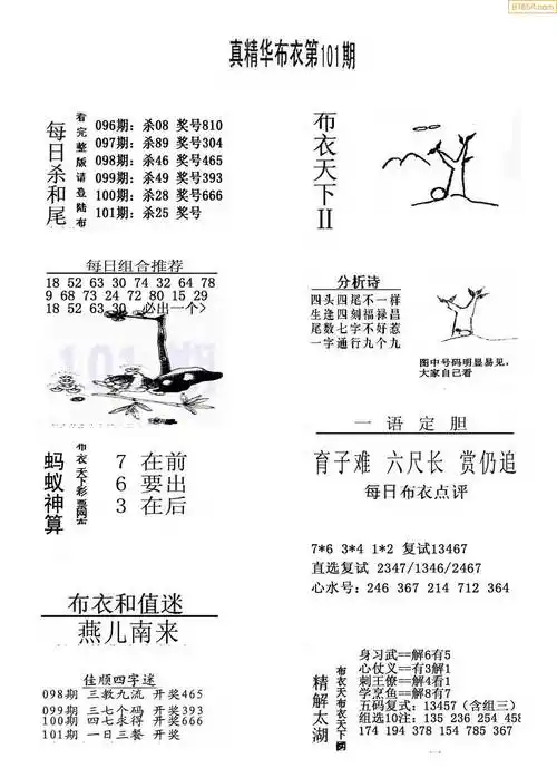 101期今天3d会员布衣 精华早报 真精华布衣123456