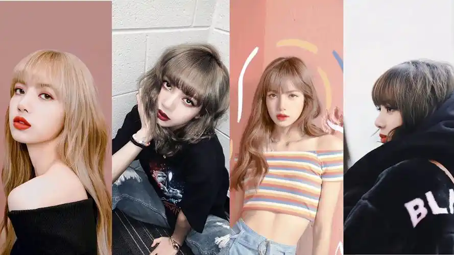 lisa壁纸是一款电脑壁纸,属于美女分类,lisa壁纸是静态壁纸,lisa壁