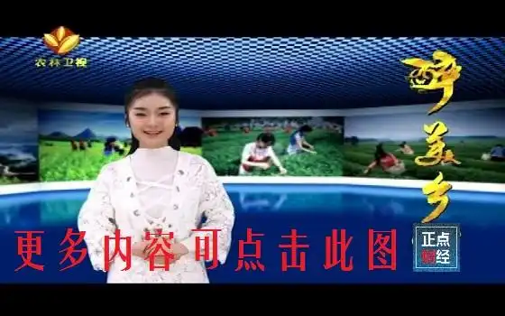 陕西农林卫视陕西农林卫视节目单