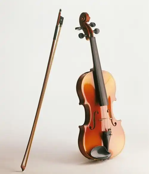 小提琴简介 - 美篇