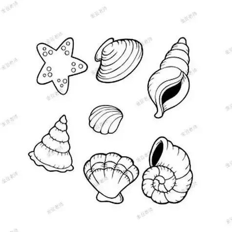 可爱贝壳简笔画来了.#一起学画画 #画画 - 抖音