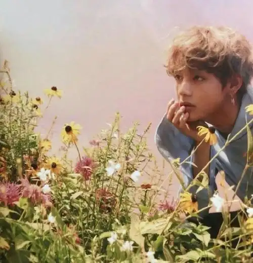 金泰亨头像##金泰亨kpop永一