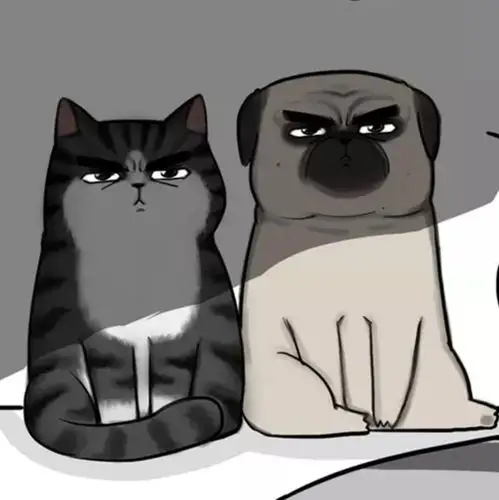 吾皇!我就这样看着你!