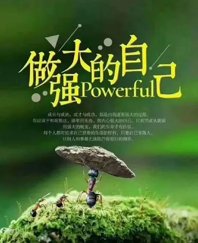 孝亲吃素,强大自己