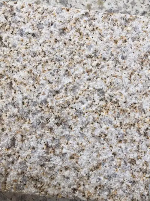 荔枝面黄金麻中黄