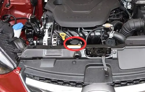 防冻液在哪里看,起什么作用,新手不懂之处多多指教