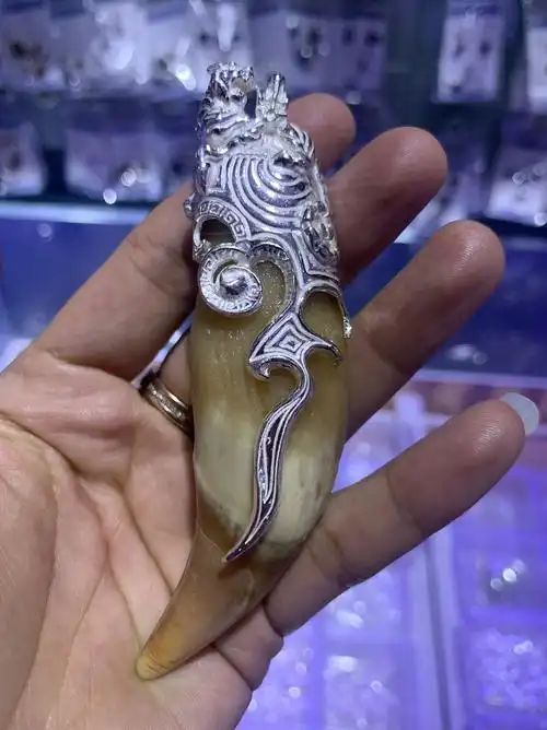 男女保护防裂虎牙吊坠银套狗牙牙齿大号女士项坠