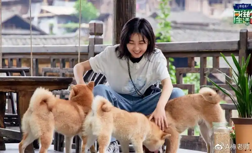 向往的生活4还没开播王珞丹就着急退货心疼瓢哥了