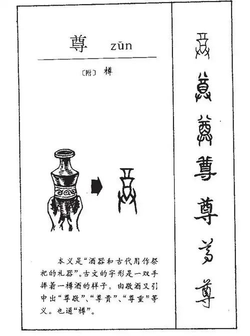 【尊】字的基本信息(怎么读,拼音)