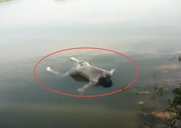 车开到水里保险可以赔多少 开车开到河里淹死保险能赔多少-全球五金网