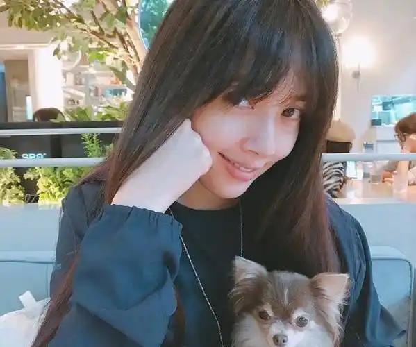 向佐_照片_什么