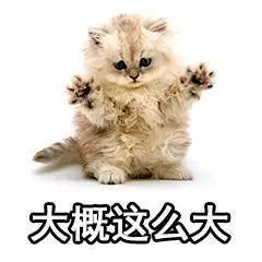 大概这么大表情包