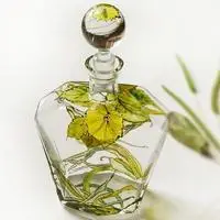 好看香水头像迷人香水味情意浓浓