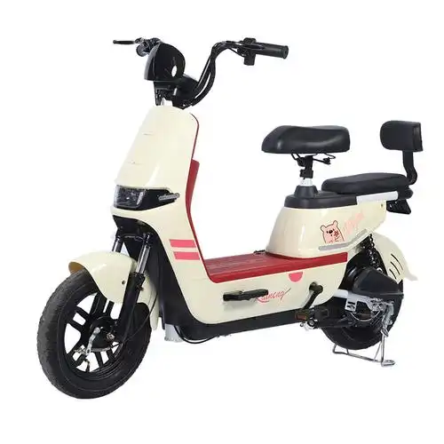 工厂直销新国标锂电48v电动车成人男女双人小型两轮电动自行车批