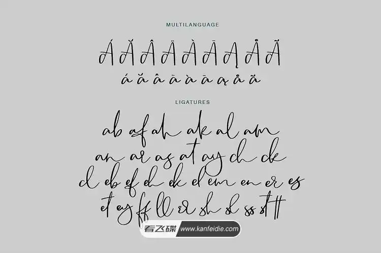 camsay是一套具有真实的手写效果的连笔字体.