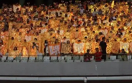 tfboys演唱会花海真的很难看这是李赫宰见过最花的演唱会