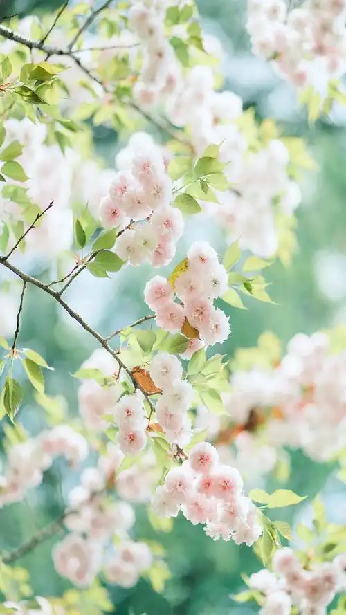 上一篇:个性唯美小清新图文图片下一篇:小清新户外风景图片