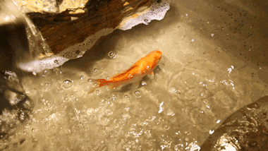 380_214gif 动态图 动图