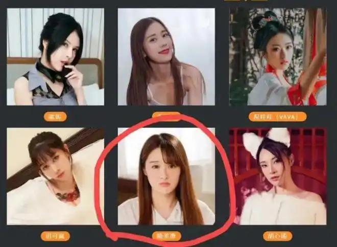 麻豆传媒发家史,深入评析其中的故事,充满了"泪水和汗水"|演员|影视