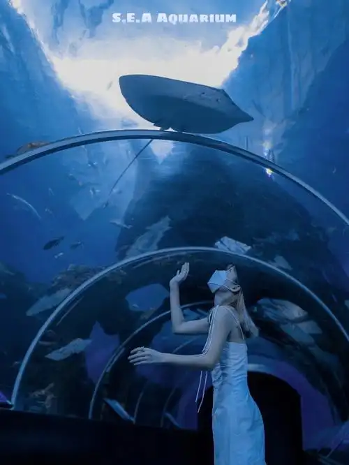 76全球最大水族馆之一谁还没个关于海洋的梦了98- manta大可爱!