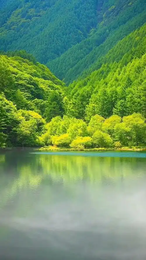 生活有望穿秋水的等待,也有意想不到的惊喜,心如止水,波澜不惊.