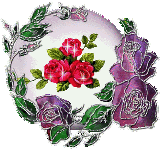 343_314gif 动态图 动图