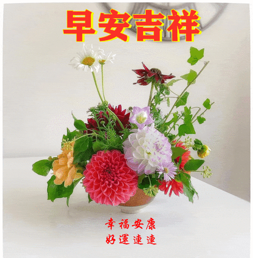 日常问候朋友早晨好动态表情图片,春天来了早上好祝福语风景美图精选