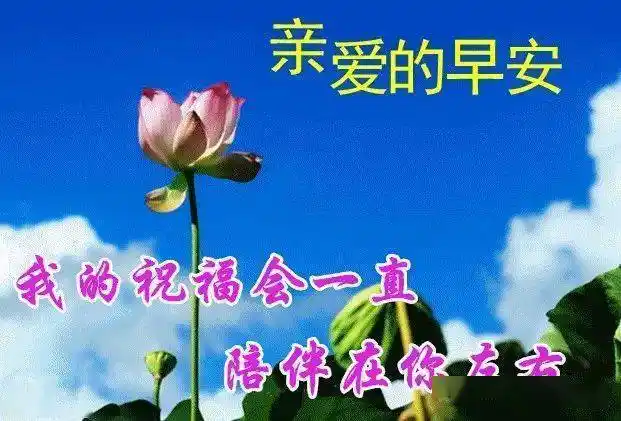 早安漂亮图片温馨祝福_阳光_问候_祝群里