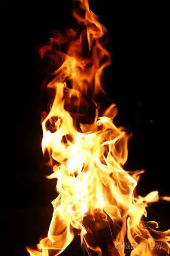 火焰中的橘黄色颜色从燃烧冷杉的舌头