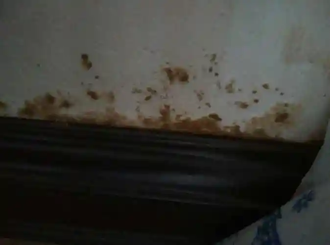 黑色裙子发霉怎么清洗干净『黑色裙子发霉怎么清洗干净呢』