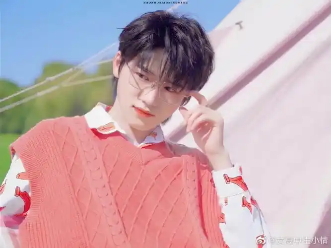 一期粉色宋亚轩