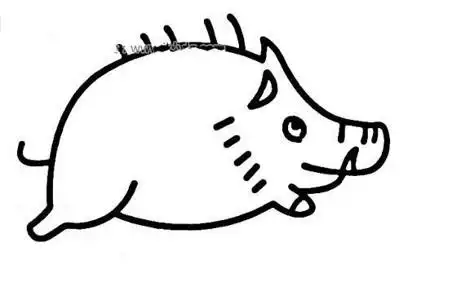 动物简笔画野猪简笔画图片
