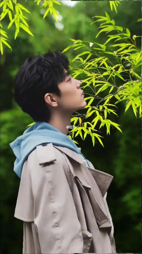 竹林掠影君子如竹