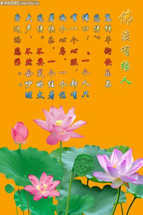 佛教文化宣传图片设计素材