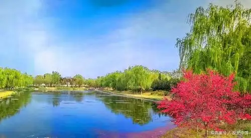 江边风景"日出江花红胜火,春来江水绿如蓝"——唐代:白居易