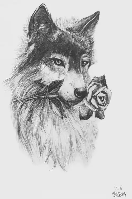 画图图片素描动物简单画图图片素描动物简单72