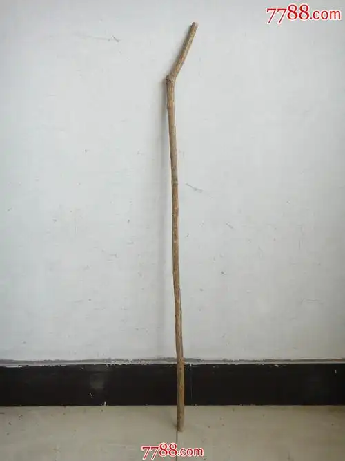 新进3根太行山"鬼见愁"拐杖单根价(纯天然,右边的已售,左边的60)