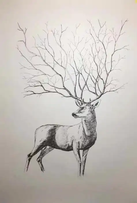 鹿的侧面素描简笔画